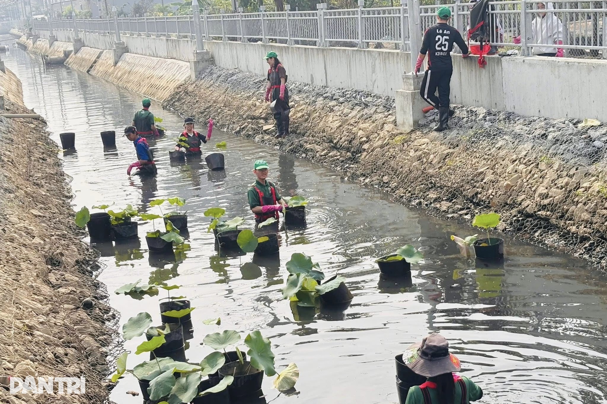 Ho Chi Minh City’s canals revive after major upgrades - 3