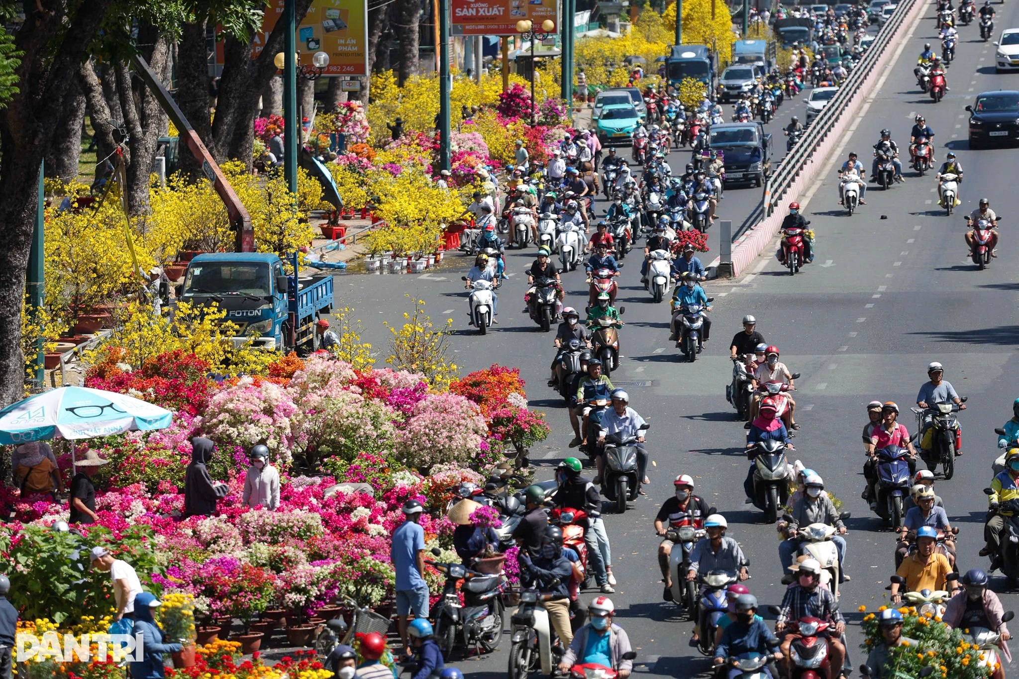 Người dân TPHCM đổ xô mua hoa giảm giá "sập sàn" trưa 29 Tết