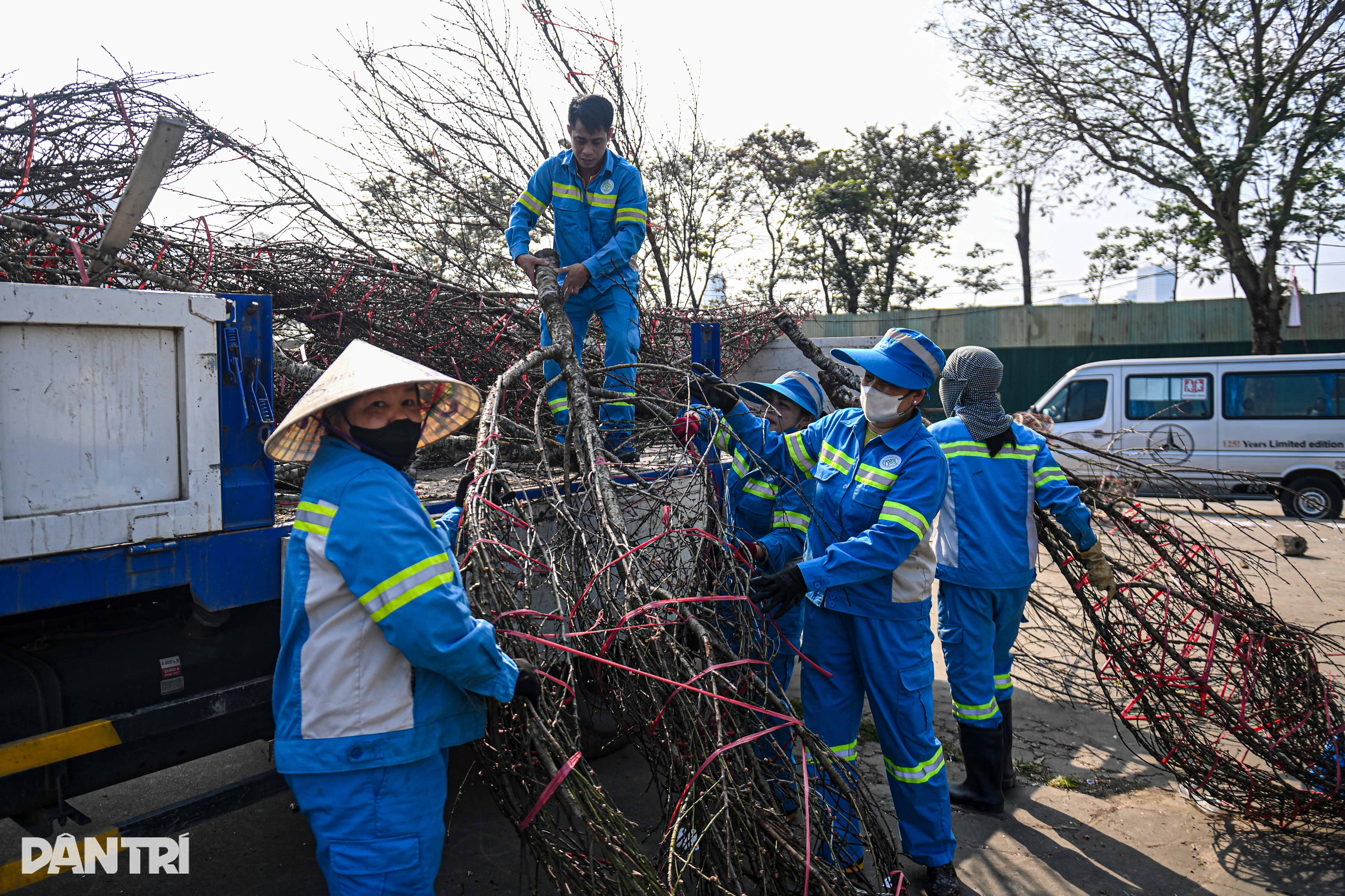 Đào bán ế chất đống trên hè phố Hà Nội chiều 29 Tết
