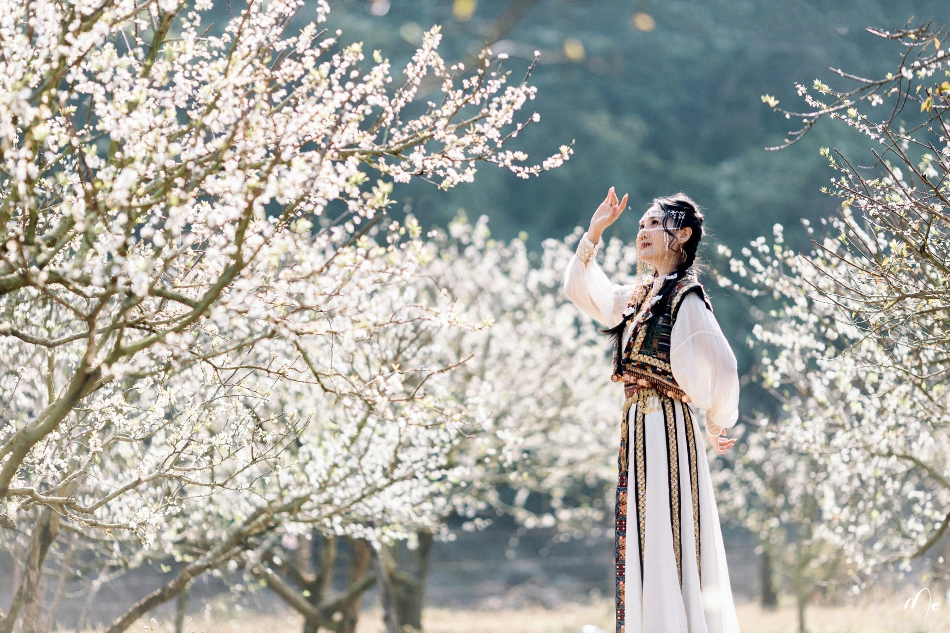 Khách đổ về Mộc Châu cao điểm mùng 4-5 Tết, phòng đẹp kín chỗ từ sớm