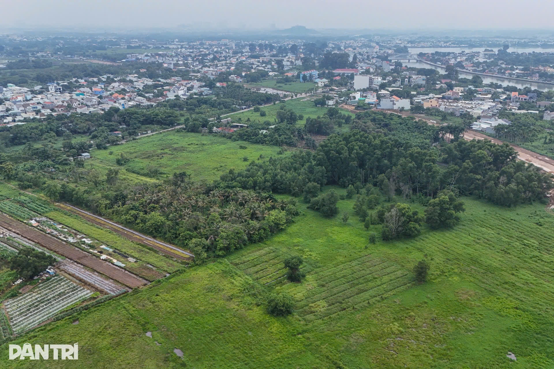 Đồng Nai duyệt khu đô thị 291ha trên cù lao Hiệp Hòa