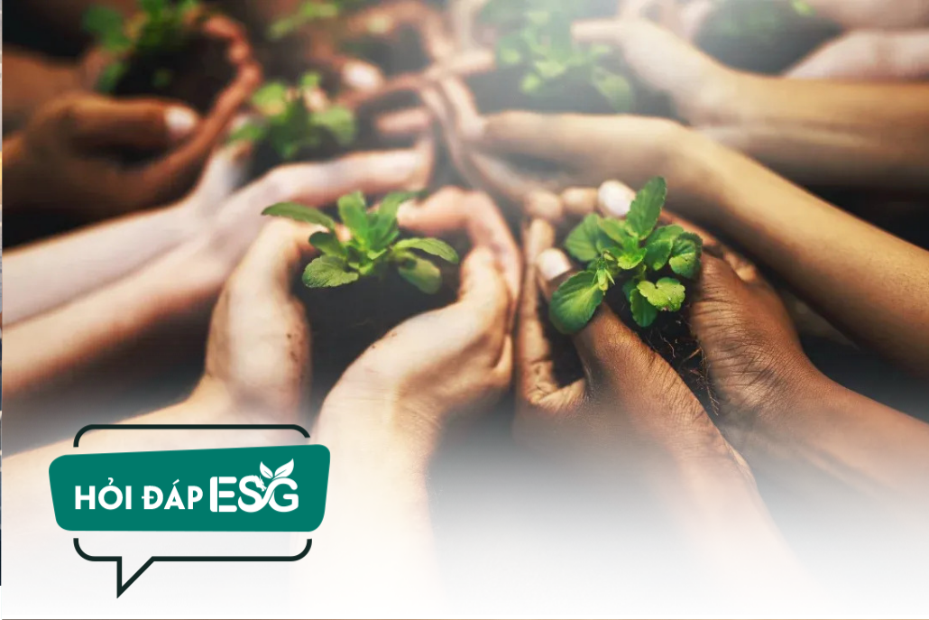“S” trong ESG: Doanh nghiệp Việt Nam tiến tới từ nhận thức đến hành động