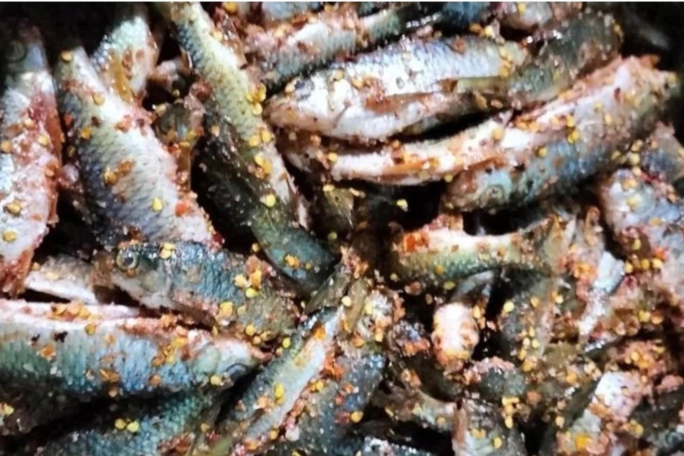 Ba trẻ em cùng gia đình nghi ngộ độc sau khi ăn cá ủ chua