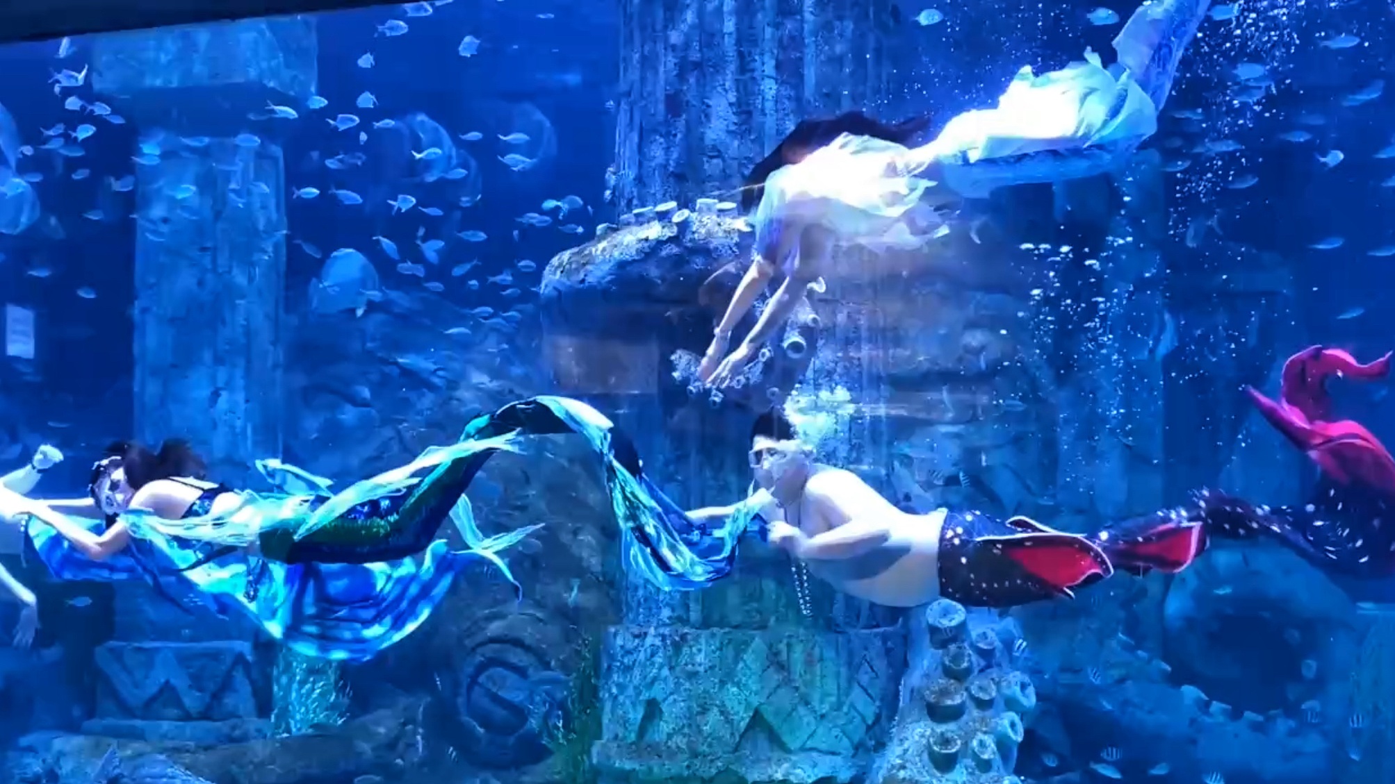 108kg ‘merman’ draws crowds at Nha Trang aquarium - 1