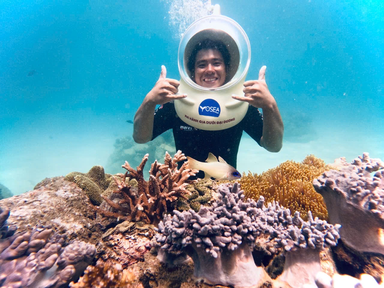 108kg ‘merman’ draws crowds at Nha Trang aquarium - 4