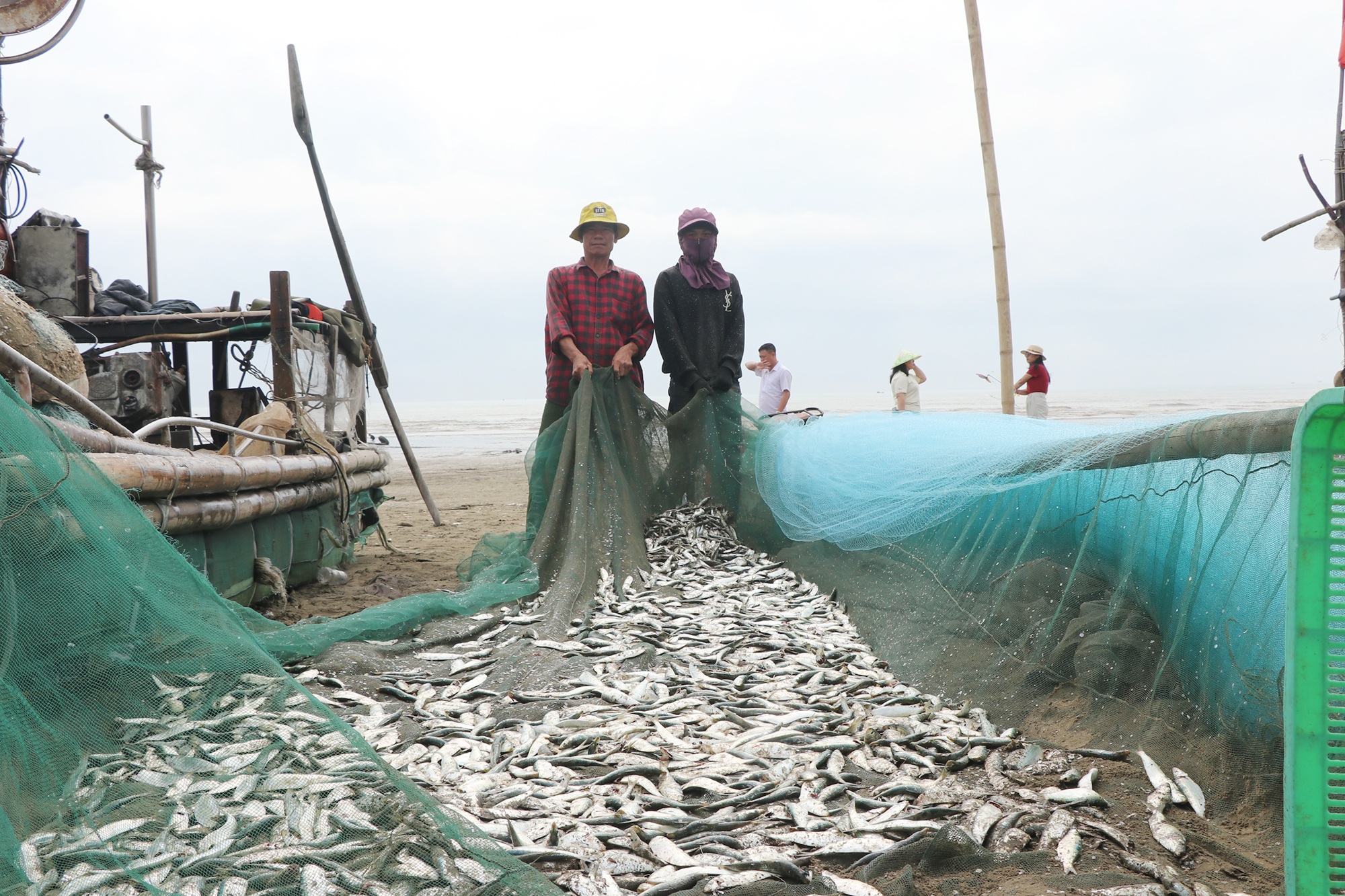 Nghề “chồng kéo, vợ giũ” thu mỗi buổi tiền triệu từ loài cá đang gây sốt