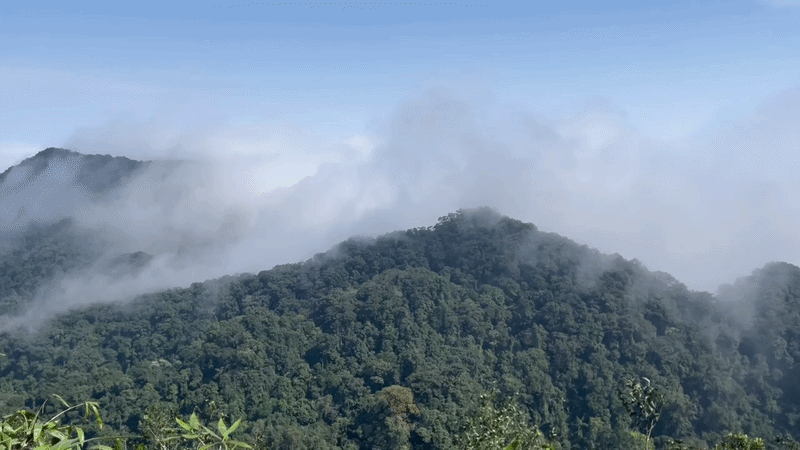 Xuyên rừng già Cúc Phương chinh phục 