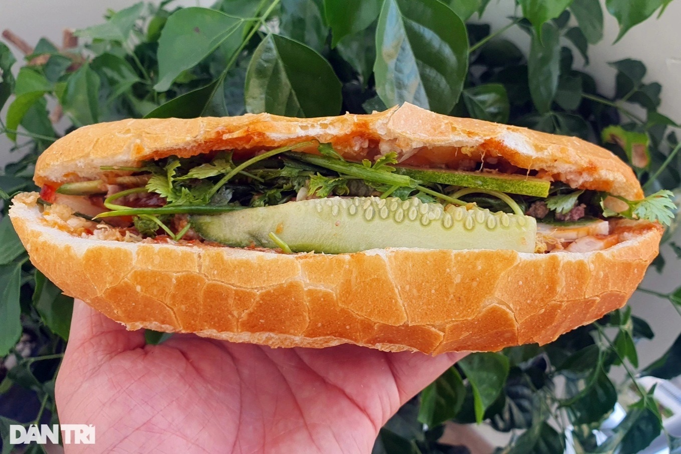 Hàng chục người bị ngộ độc sau khi ăn bánh mì