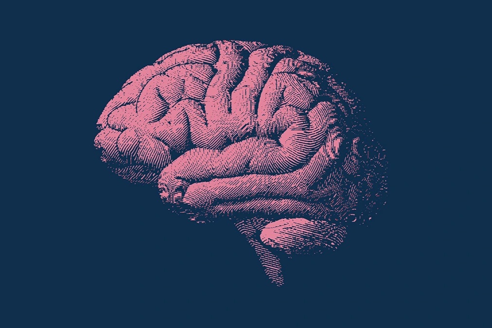 Chế độ ăn độc đáo có thể làm chậm quá trình lão hóa não bộ hơn 2 năm