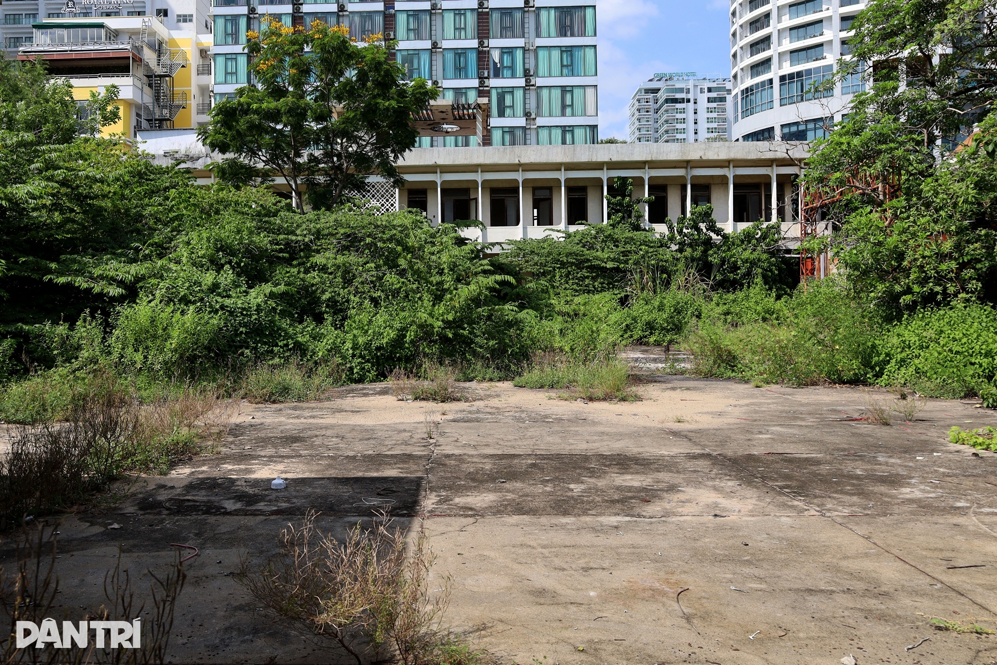 Khu đất cỏ cây mọc um tùm ở Nha Trang được đấu giá gần 720 tỷ đồng