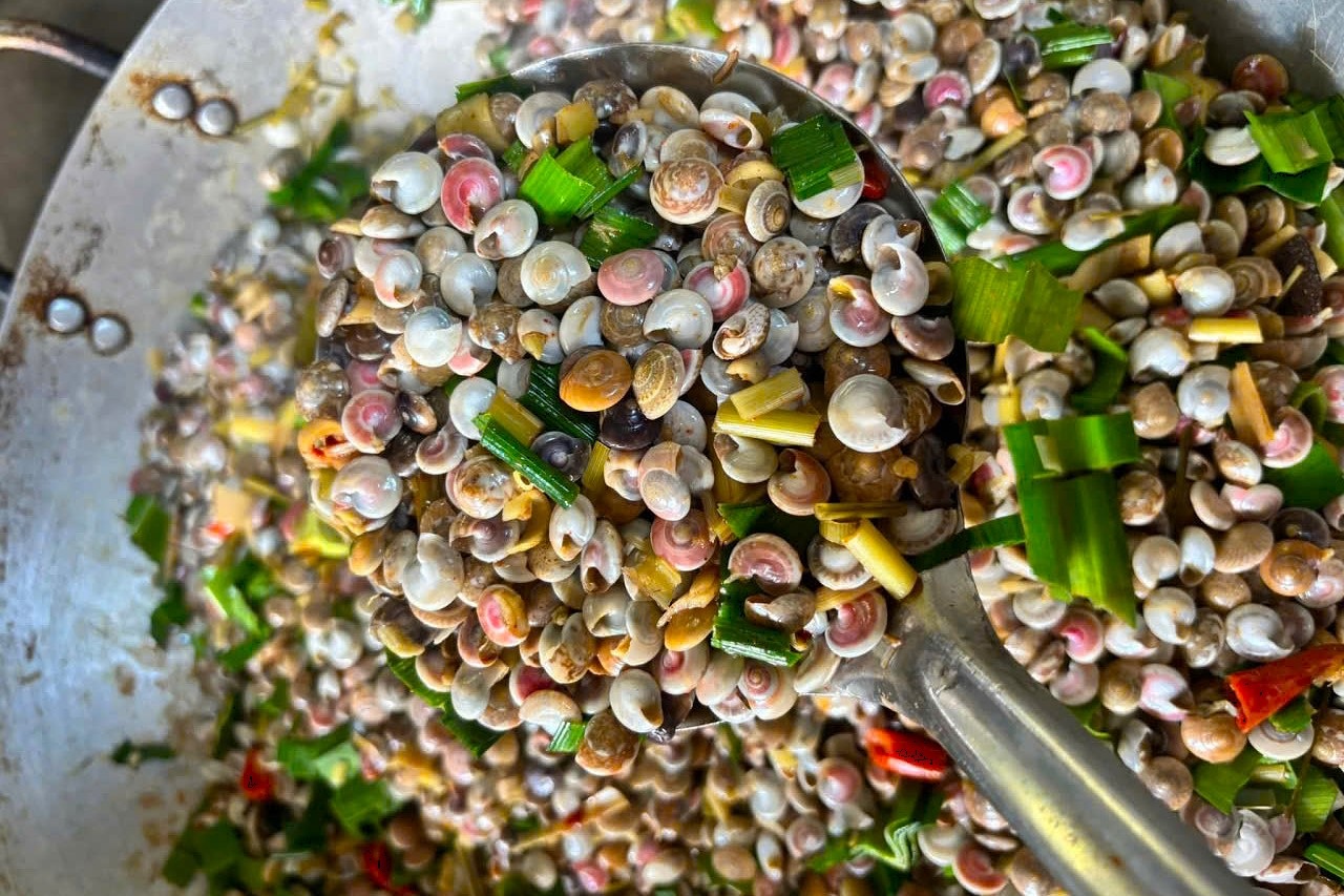 Món ốc “không dành cho người vội vàng”, ăn cả tiếng mới xong