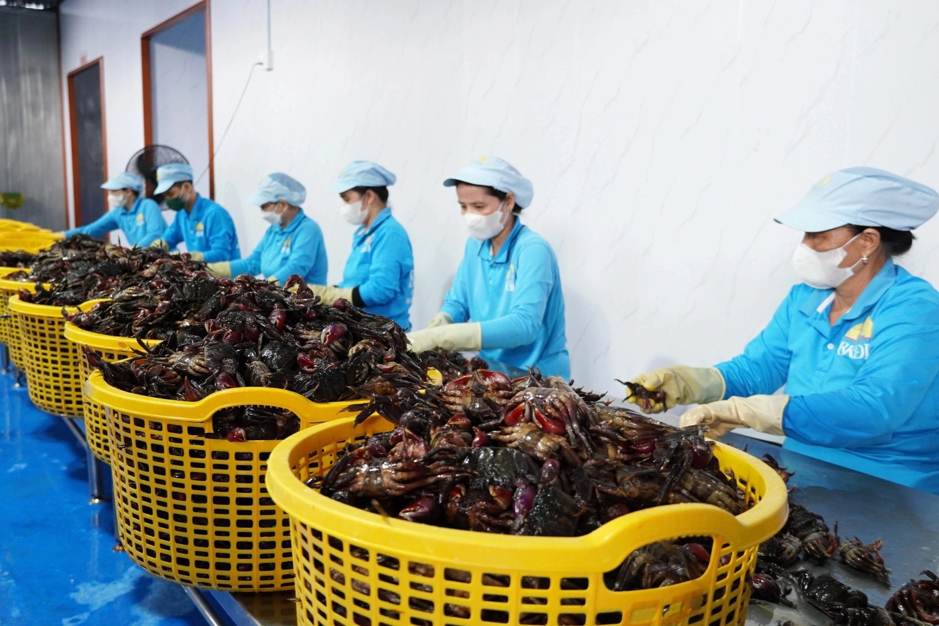 Người trẻ khởi nghiệp, đau đầu tự hỏi 