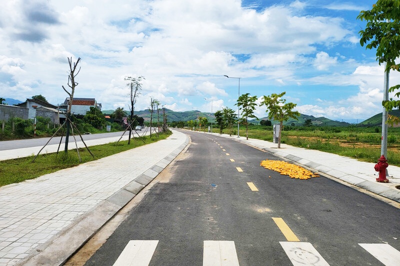 Người đàn ông ở TPHCM đấu giá trúng 16 lô đất rồi “bỏ của chạy lấy người”