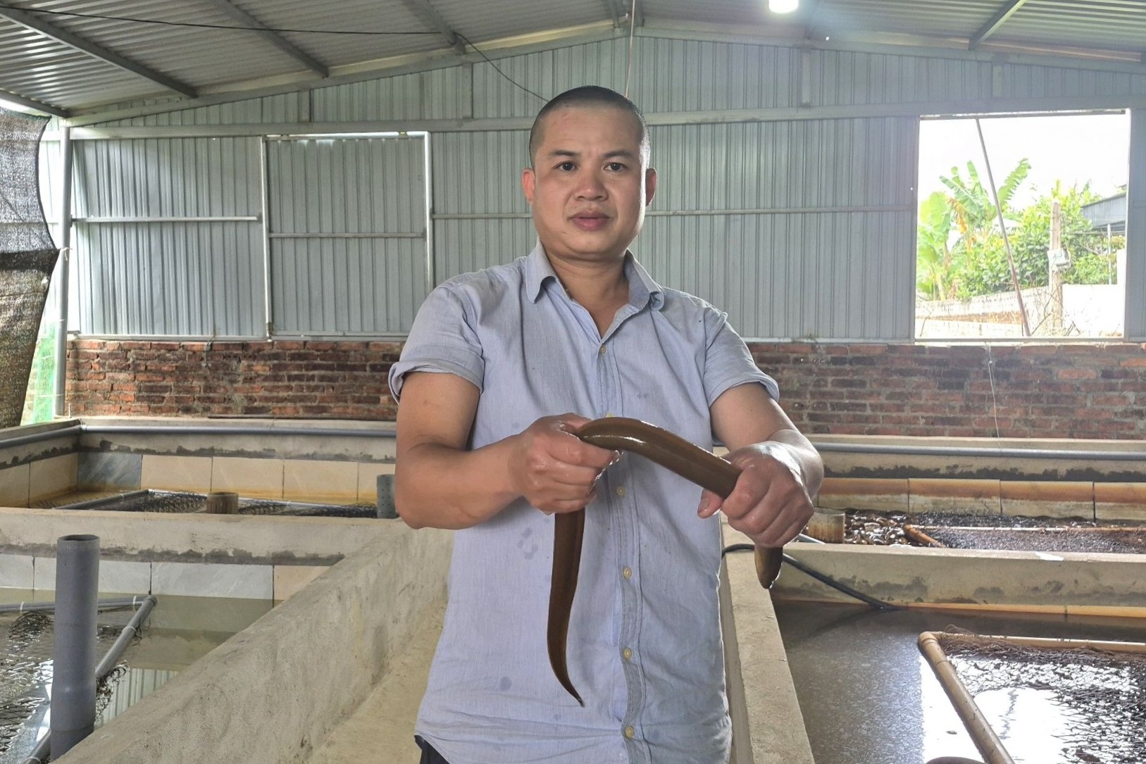 Rời vô lăng đến với nghề mới, nam tài xế kiếm nhẹ 200 triệu đồng mỗi năm