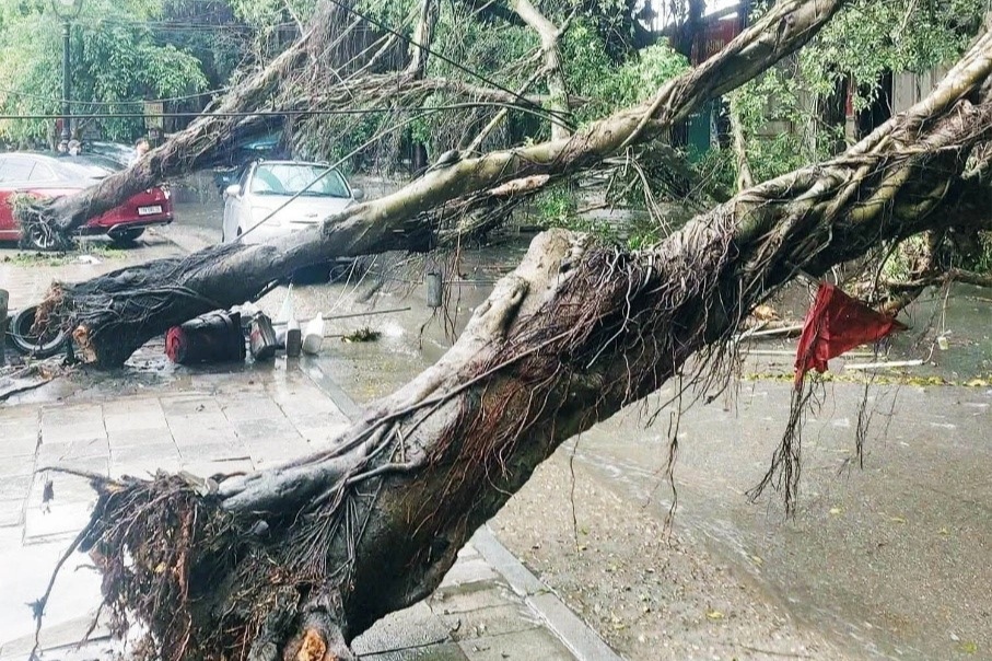 Mưa đá, gió giật mạnh làm đổ nhiều cây, hư hỏng ô tô ở Đền Hùng