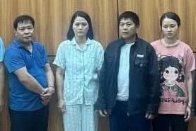 Đường dây tiêu thụ 300 tấn thịt lợn bệnh: Khởi tố 4 cán bộ thú y, kiểm dịch