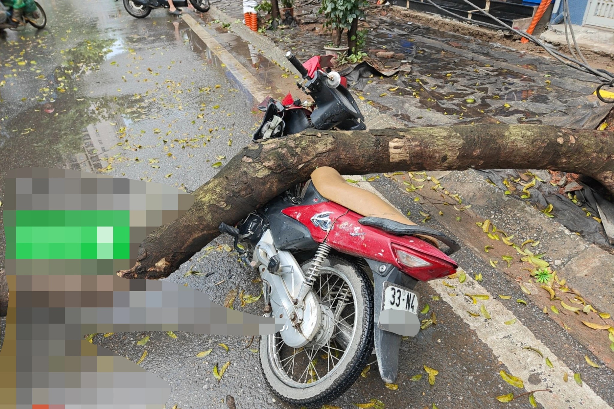 Cây xanh bật gốc giữa trời mưa, đè trúng người đi xe máy ở Hà Nội