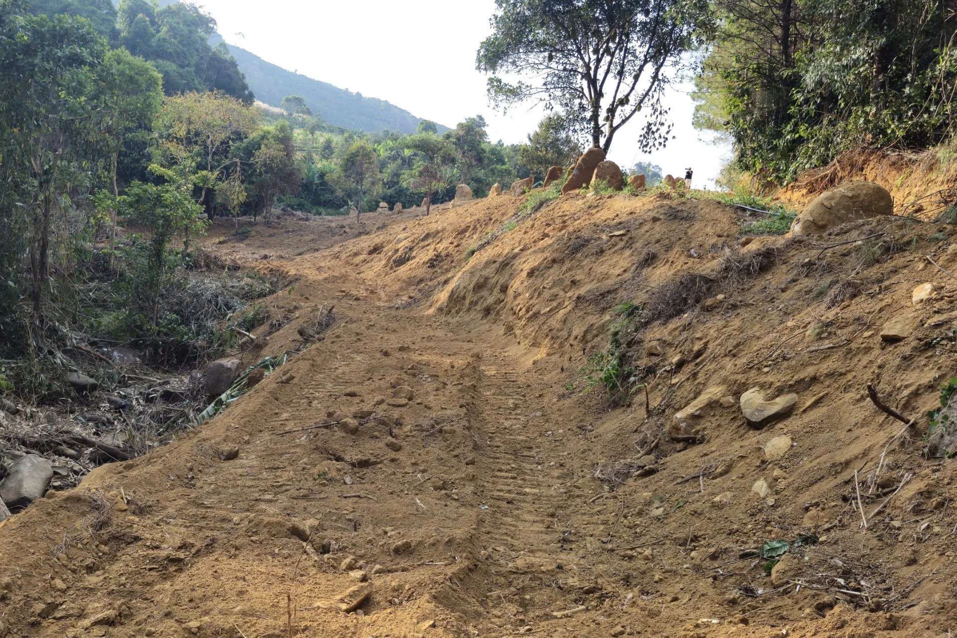 Phát hiện vụ san gạt, lấn chiếm đất lâm nghiệp trên đèo Bảo Lộc