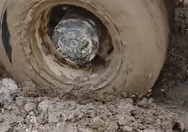 Nỗ lực vượt khó xây dựng công trình phòng học Dân trí ở bản biên giới