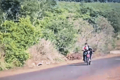 30 “quái xế” gây náo loạn đoạn đường qua cánh đồng điện gió