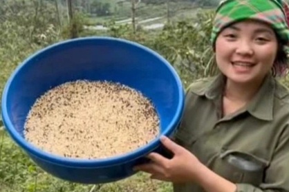 Đặc sản ở Việt Nam nửa triệu đồng/kg, được ví là 