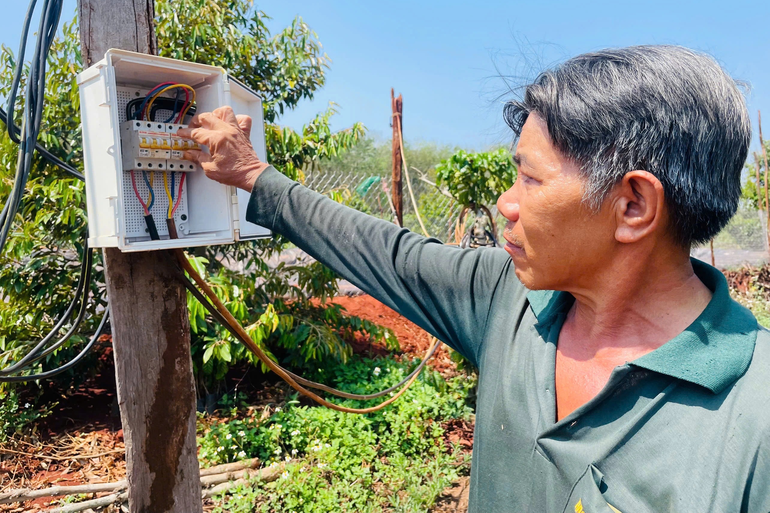 Xăng dầu tăng đúng cao điểm mùa khô, nông dân Tây Nguyên chật vật xoay