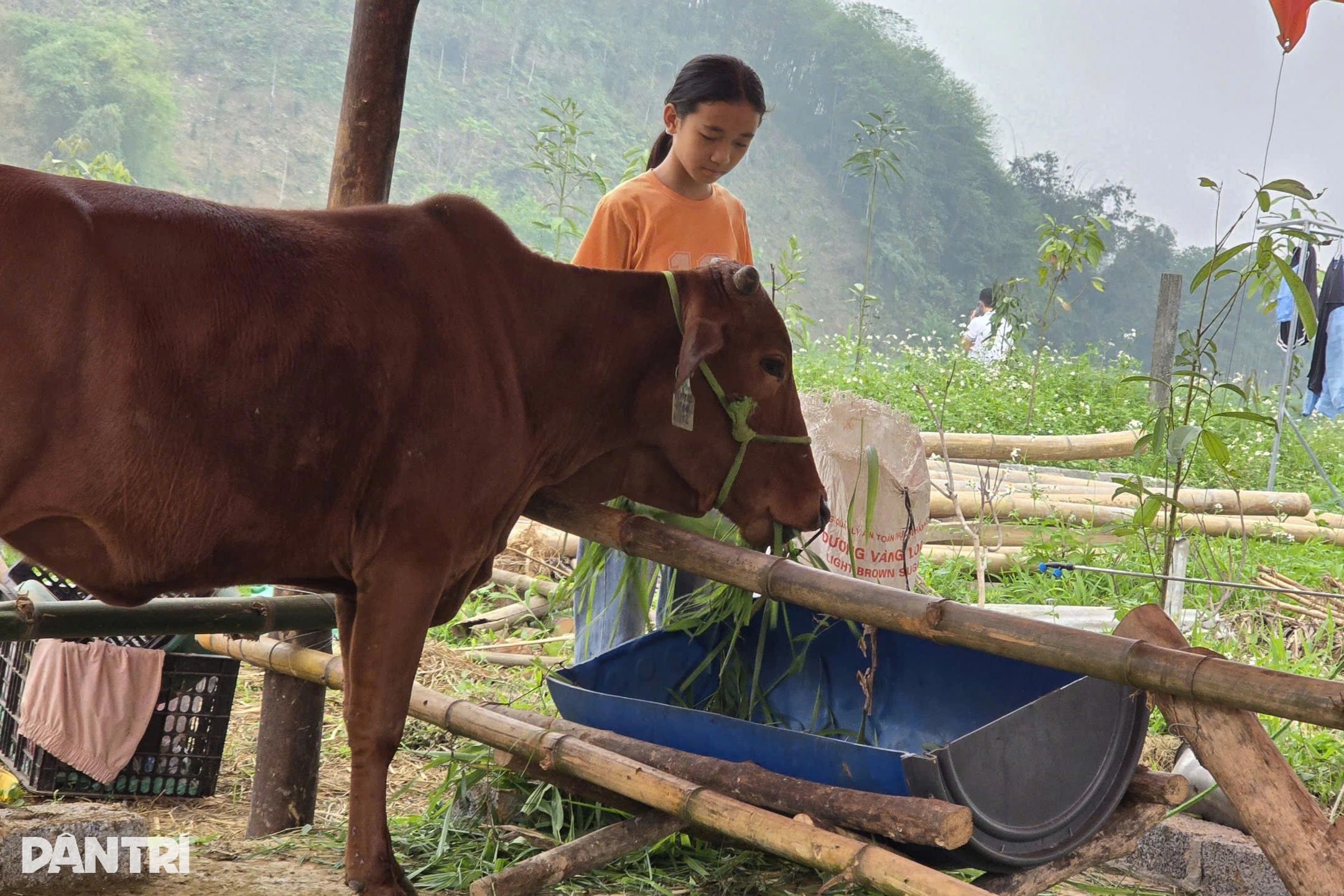 Poor family in Phu Tho receives support to build new home - 3 Poor family in Phu Tho receives support to build new home - 3