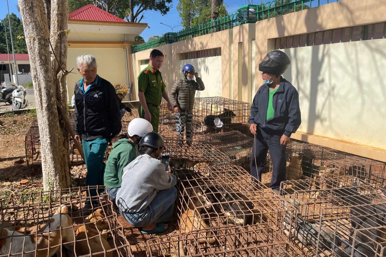 Vụ công an thông tin tìm chủ cho 70 con chó bị trộm: Bắt 2 đối tượng