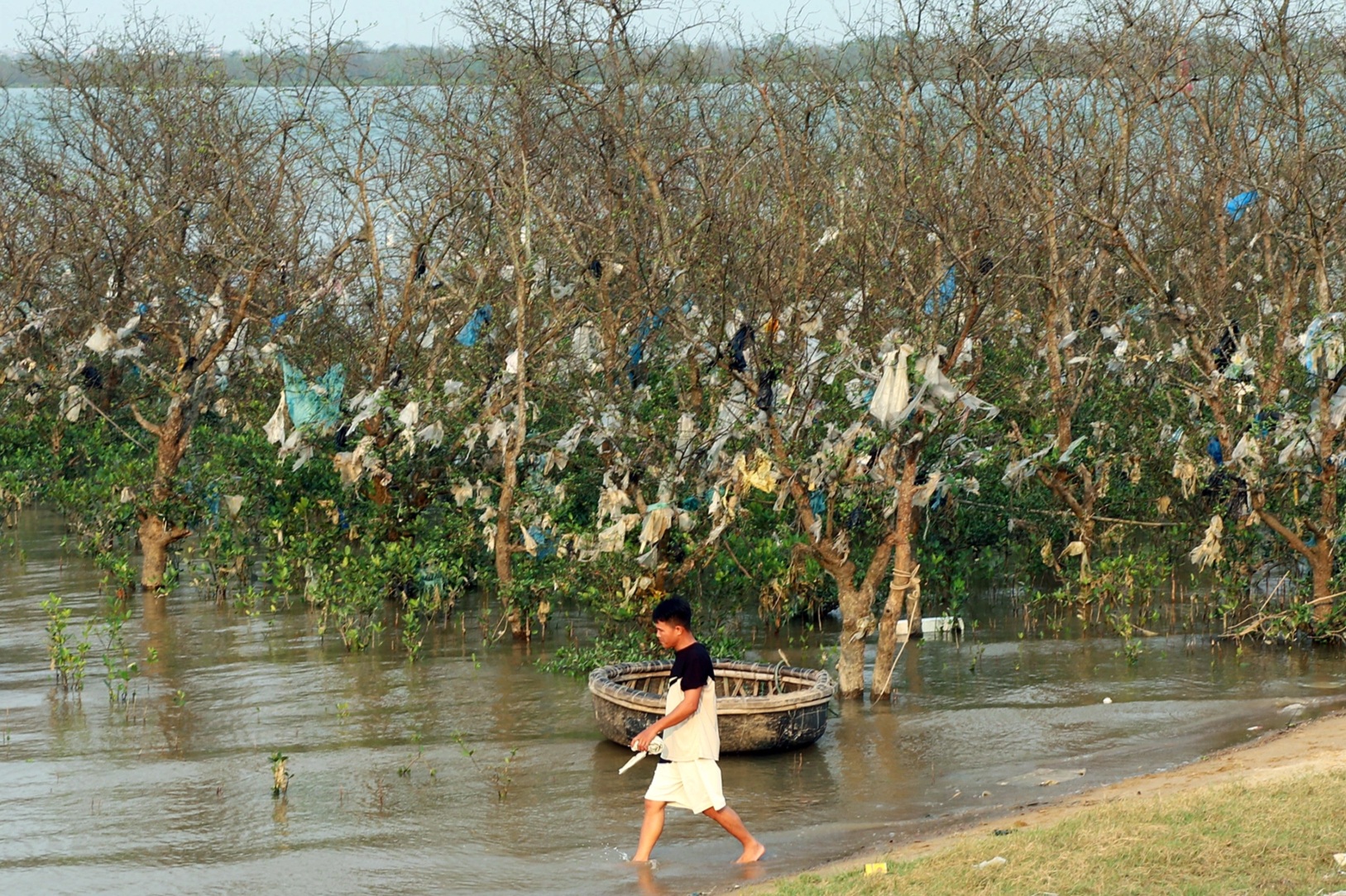 Rác thải bủa vây rừng bần, túi ni lông 