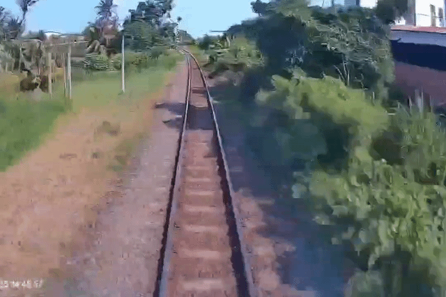 Từ vụ 3 ông cháu bị tàu tông, CSGT cảnh báo nguy hiểm từ lối dân sinh tự mở