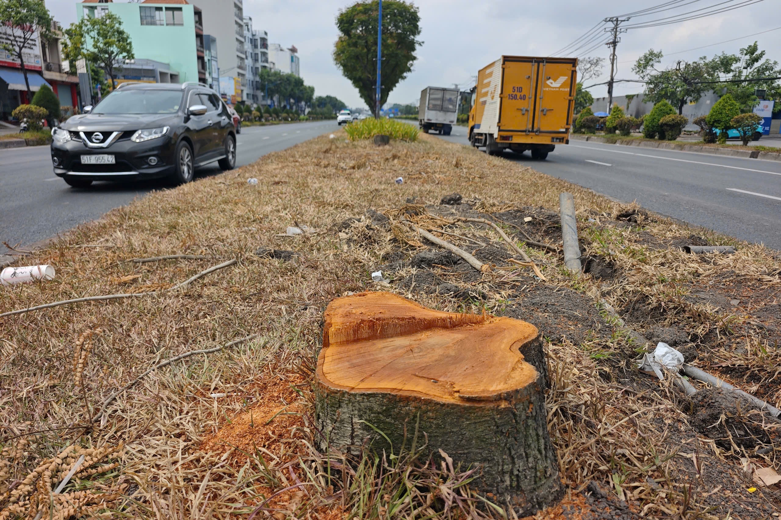 TPHCM chặt hạ hơn 400 cây xanh để thi công Metro Bến Thành - Tham Lương