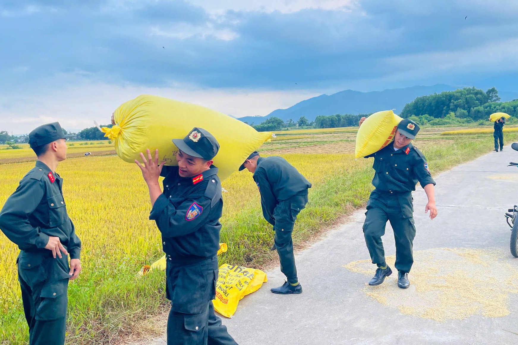 Cảnh sát cơ động giúp người đàn ông khuyết tật dọn lúa chạy mưa
