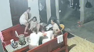 Cả gia đình bỏ chạy khỏi mâm cơm vì rắn dài hơn 1m bò vào nhà