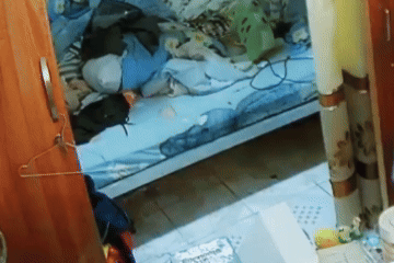 Đi nhận giấy khen một mình, cậu bé làm điều khiến nhiều người nghẹn lòng