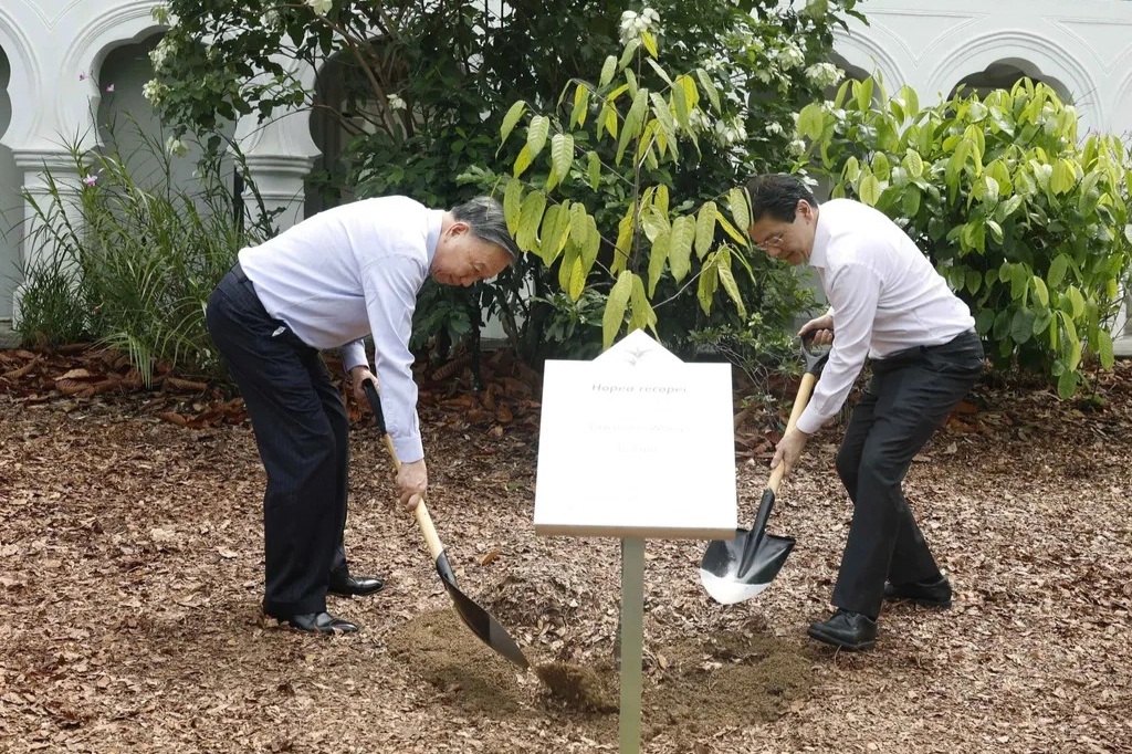 Vườn Bách thảo nơi Tổng Bí thư, Chủ tịch nước Tô Lâm trồng cây ở Singapore