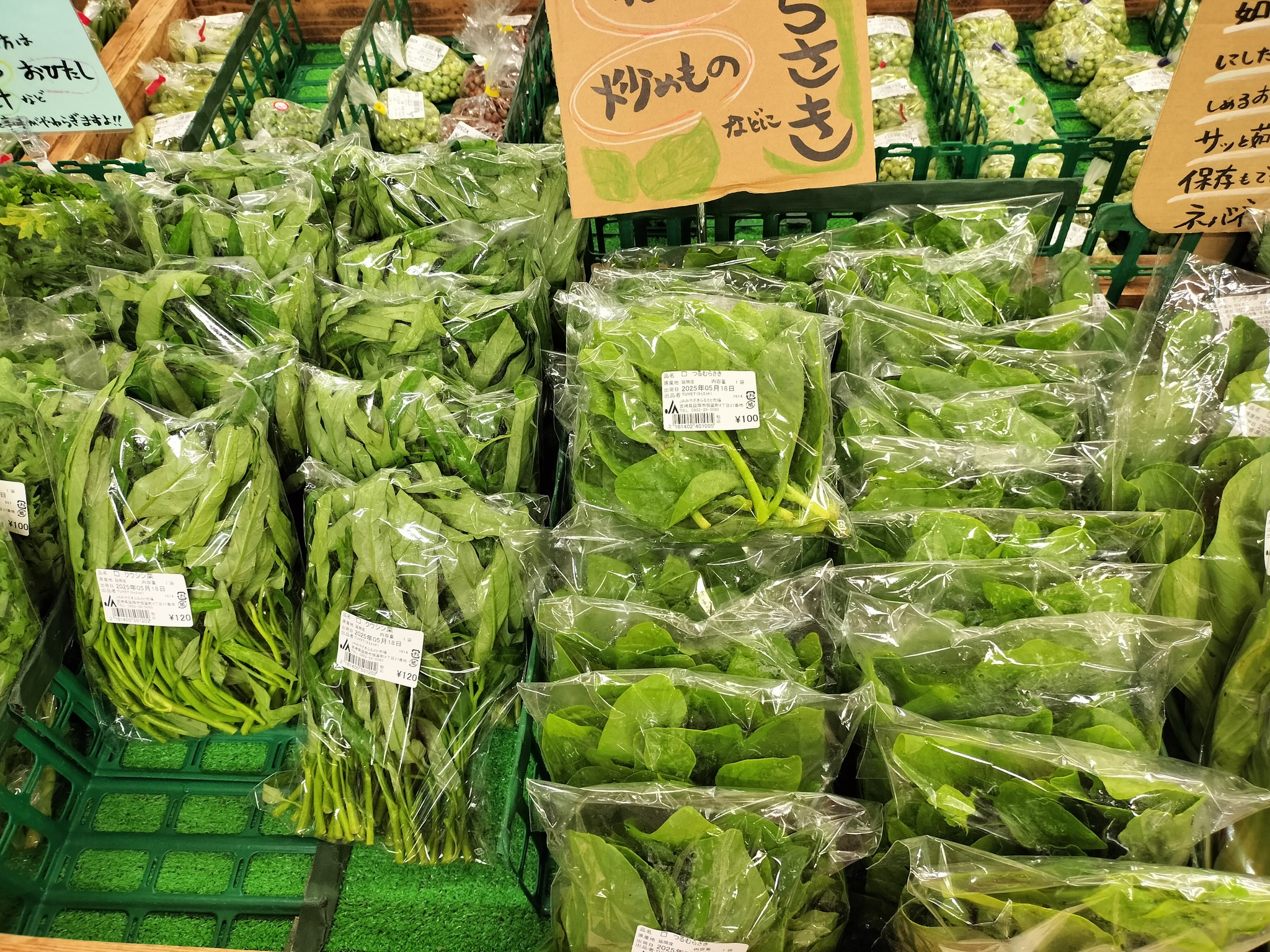 Vietnamese woman builds thriving farm business in Japan - 5