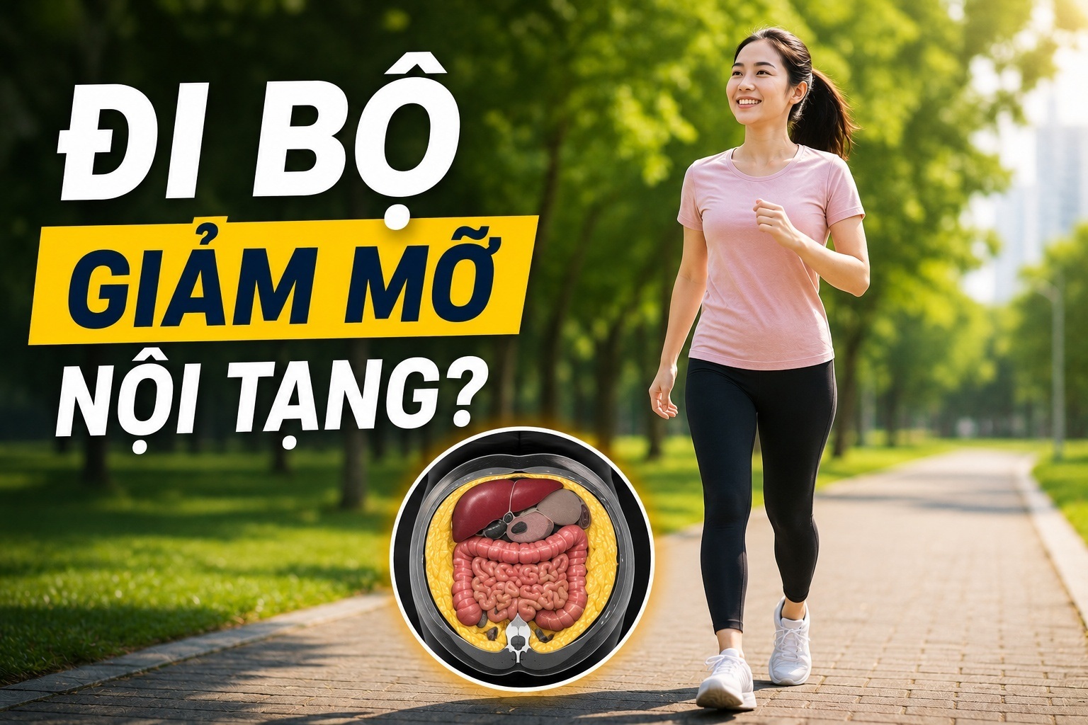 Đi bộ có thực sự giúp giảm mỡ nội tạng?