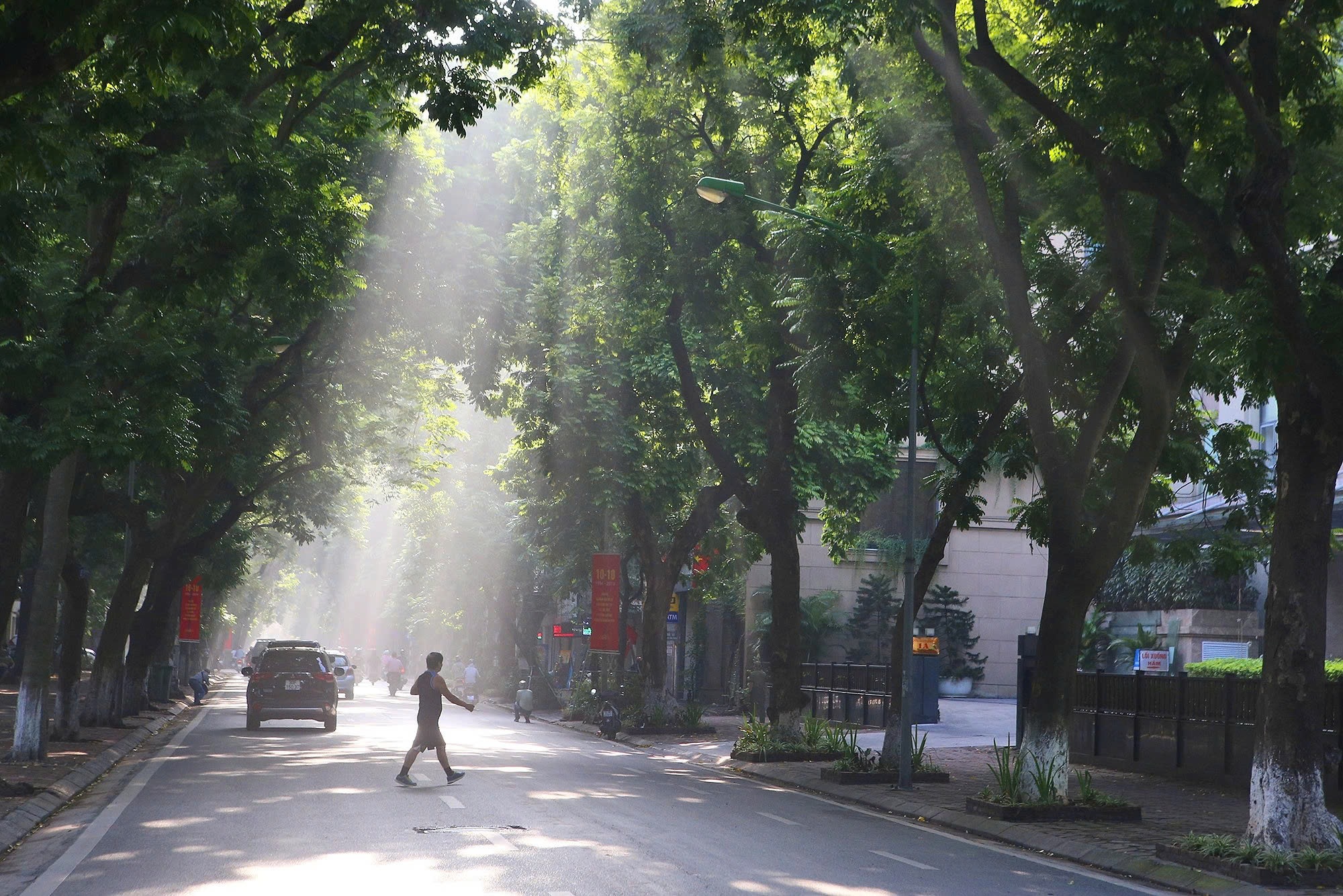 Chung tay bảo vệ cây xanh của Thủ đô Hà Nội