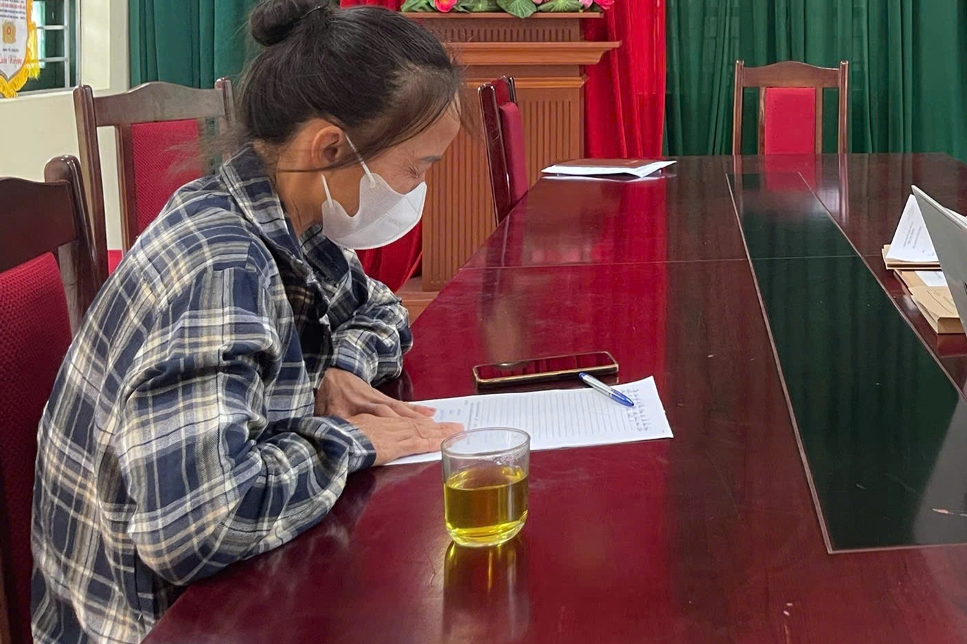 Người phụ nữ bị phạt 12,5 triệu đồng vì bình luận xúc phạm cơ quan, tổ chức