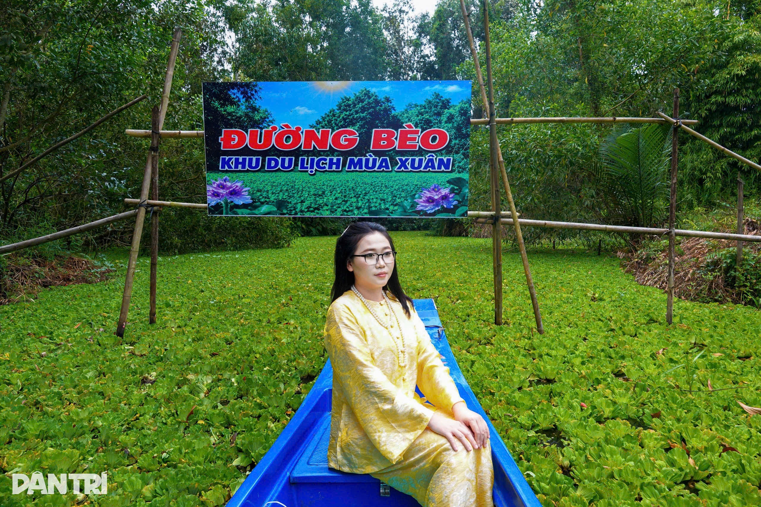 Ngồi vỏ lãi xuyên rừng tràm ngắm chim, cò ở khu du lịch rộng 130ha