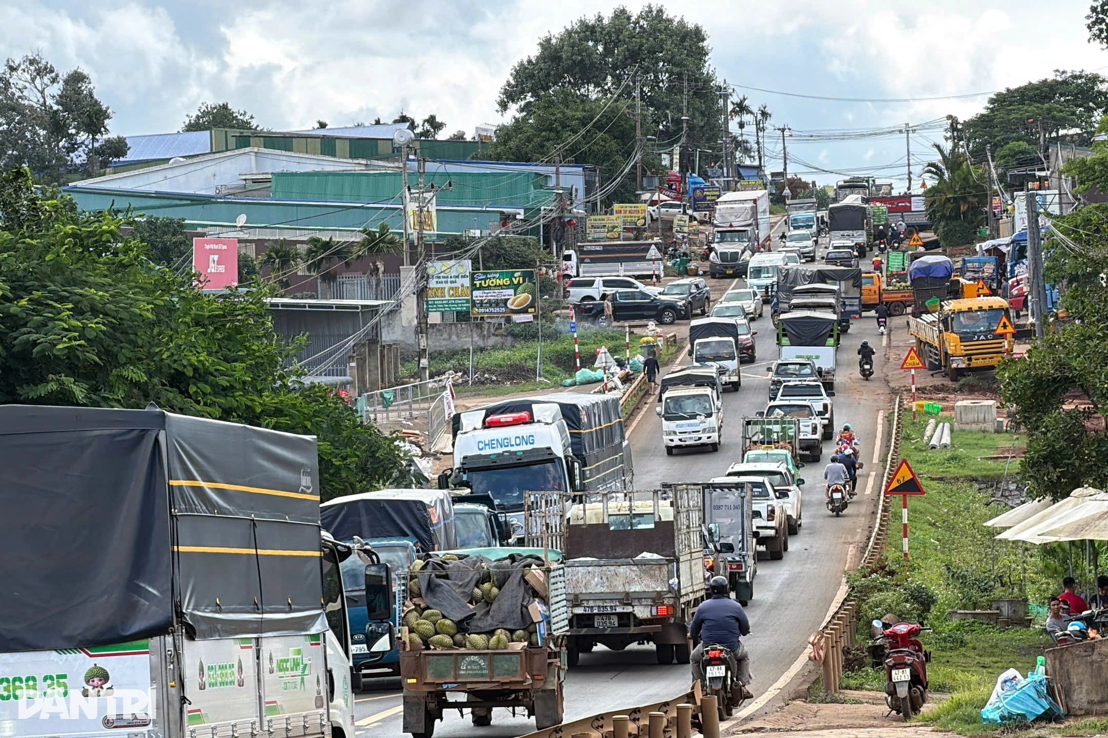 "Thủ phủ cây tỷ đô" nhộn nhịp mùa thu hoạch, ùn tắc kéo dài trên quốc lộ 26