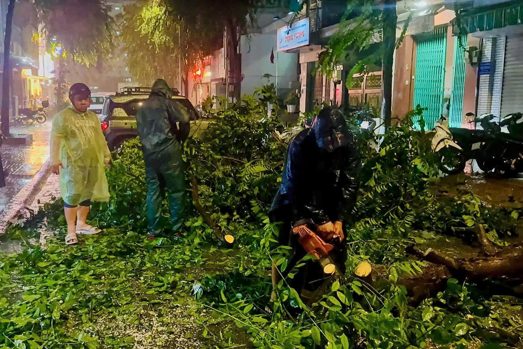 Cây đổ chắn ngang đường trong mưa lớn ở TPHCM