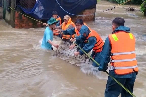 Mưa lũ khiến 2.838ha cây trồng ở Lâm Đồng ngập úng