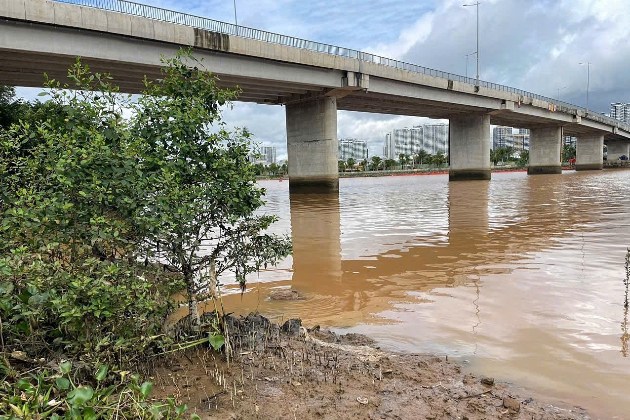 Thi thể có hình xăm rồng dạt vào bờ kè ở TPHCM