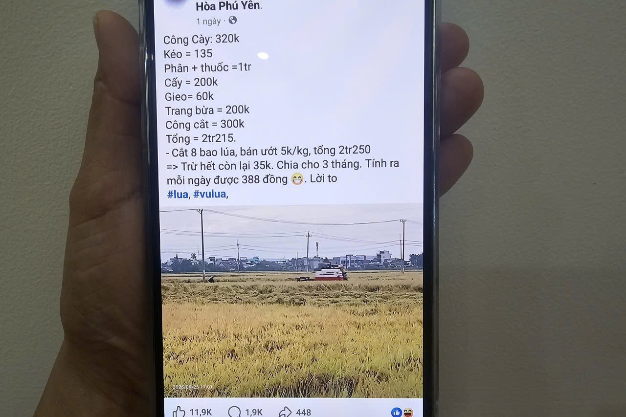 Anh nông dân chia sẻ vụ lúa lãi… 35.000 đồng, 2,5 triệu người xem mà khóc