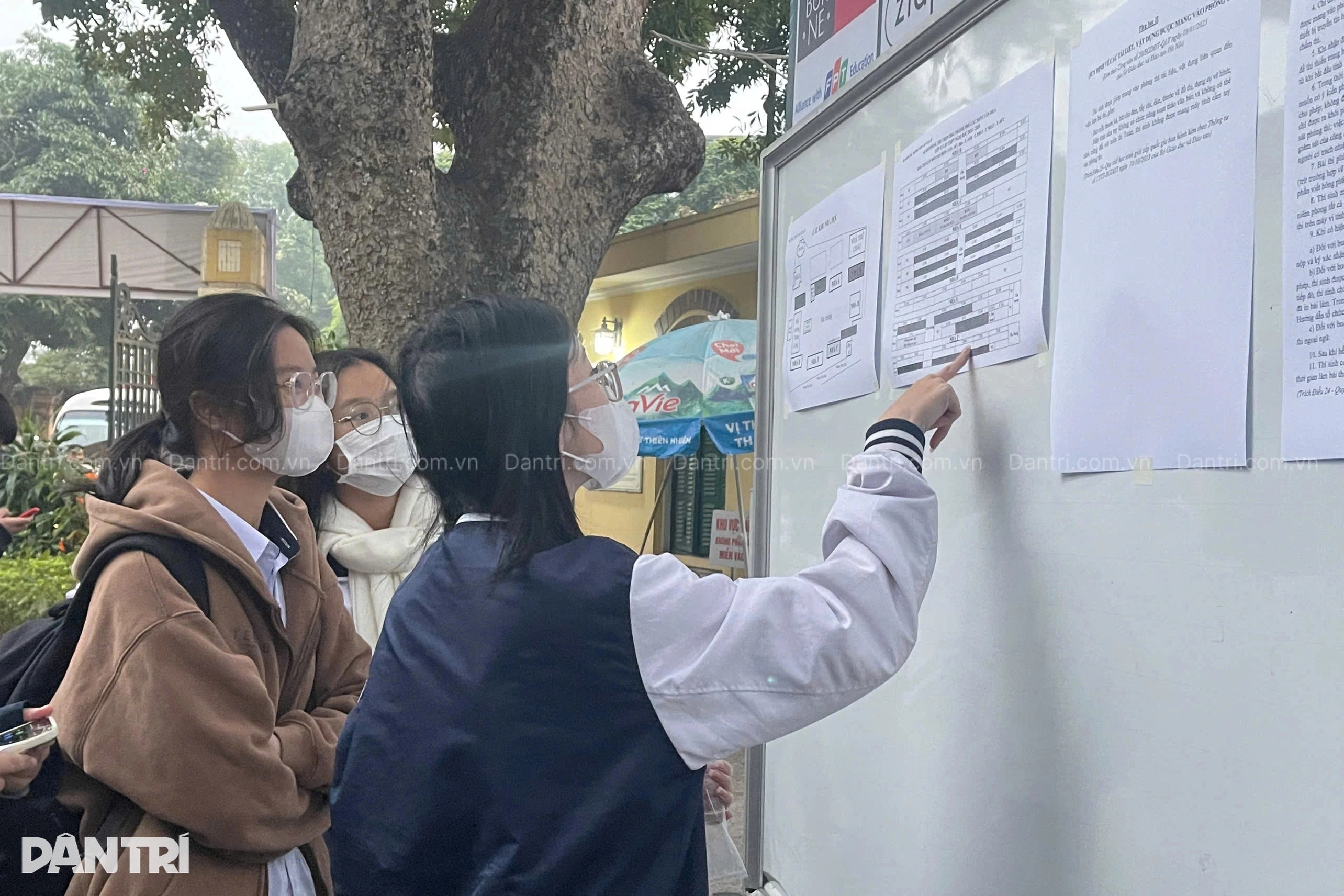 Hà Nội có 37 thủ khoa học sinh giỏi, 12 em đang học lớp 11