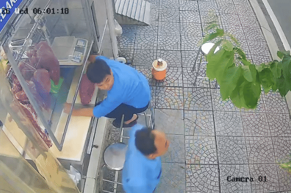 Hai người thoát chết khi cây cổ thụ bật gốc đổ xuống đường ở TPHCM
