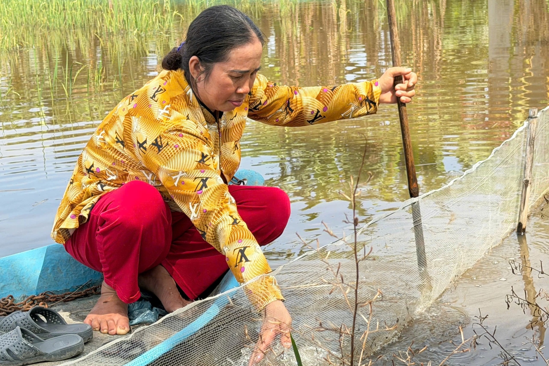 Biến đồng ngập thành “mỏ vàng”, nông dân miền Tây có thêm sinh kế