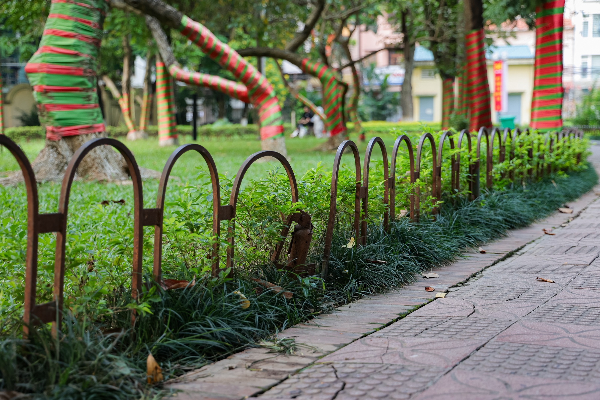 Hanoi’s Thu Le Park shows signs of age ahead of redevelopment - 4