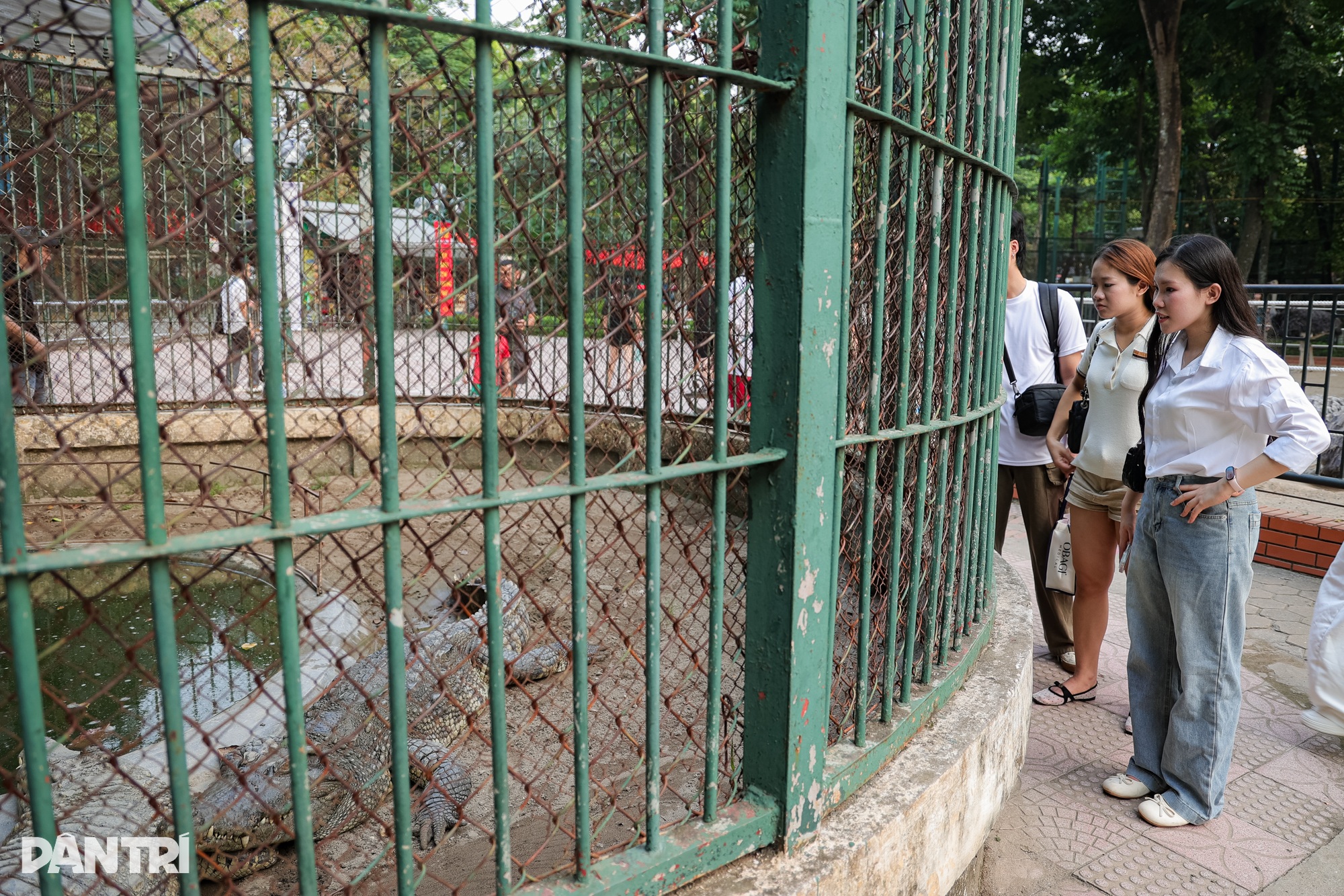 Hanoi’s Thu Le Park shows signs of age ahead of redevelopment - 9